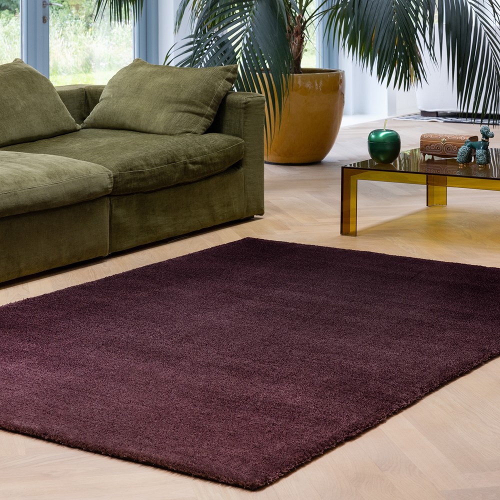 Shade Low Rugs 010100 by Brink and Campman in Plum Purple